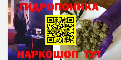 прущие крисы Гусиноозёрск